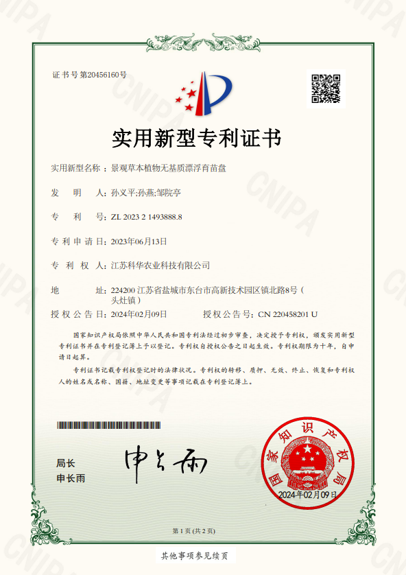 景观草本植物无基质漂浮育苗盘