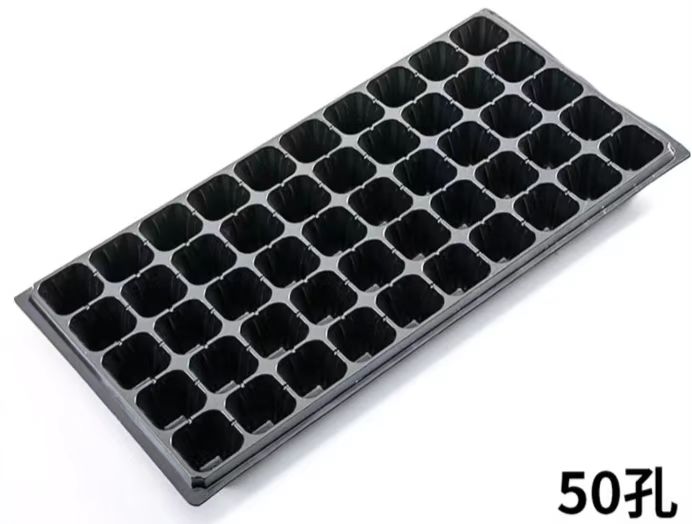 育苗穴盘（50孔）